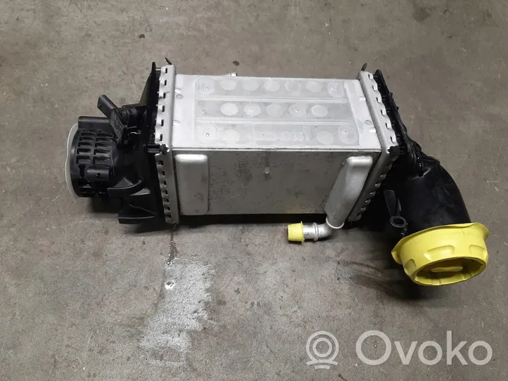 Skoda Fabia Mk1 (6Y) Chłodnica powietrza doładowującego / Intercooler 04E145785E