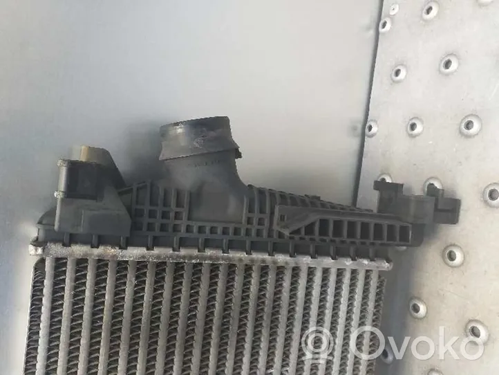 Ford Tourneo Starpdzesētāja radiators 13267646