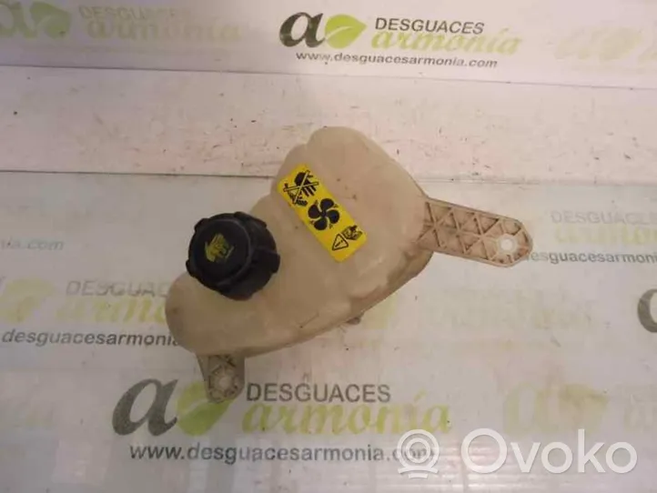 Ford Focus Vaso di espansione carburante 