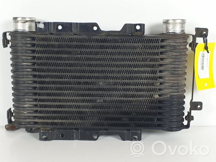 Mitsubishi Montero Chłodnica powietrza doładowującego / Intercooler 1271000420