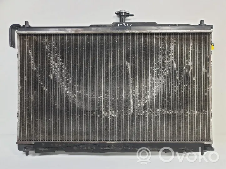 Hyundai H-1, Starex, Satellite Coolant radiator 253104H100