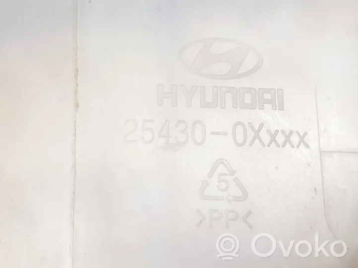 Hyundai i10 Serbatoio di compensazione del liquido refrigerante/vaschetta 254300XXXX