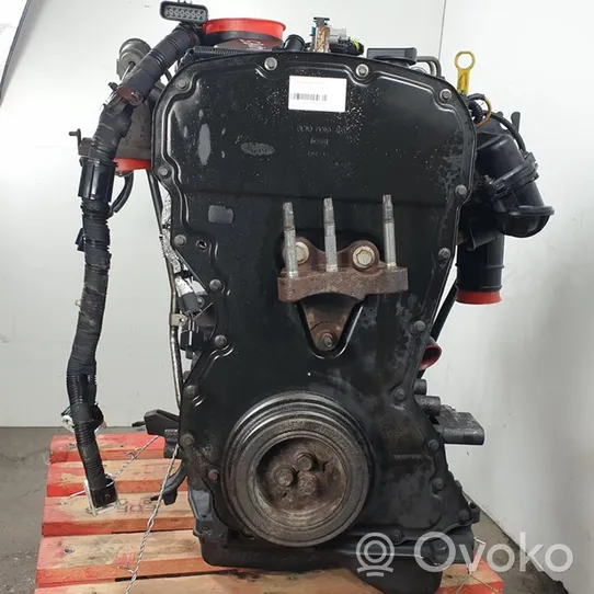 Ford Transit Moottori QVFA