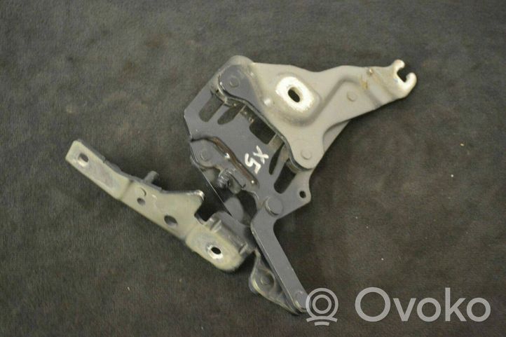 BMW X5 E70 Set di cerniere portiera anteriore 7148347 