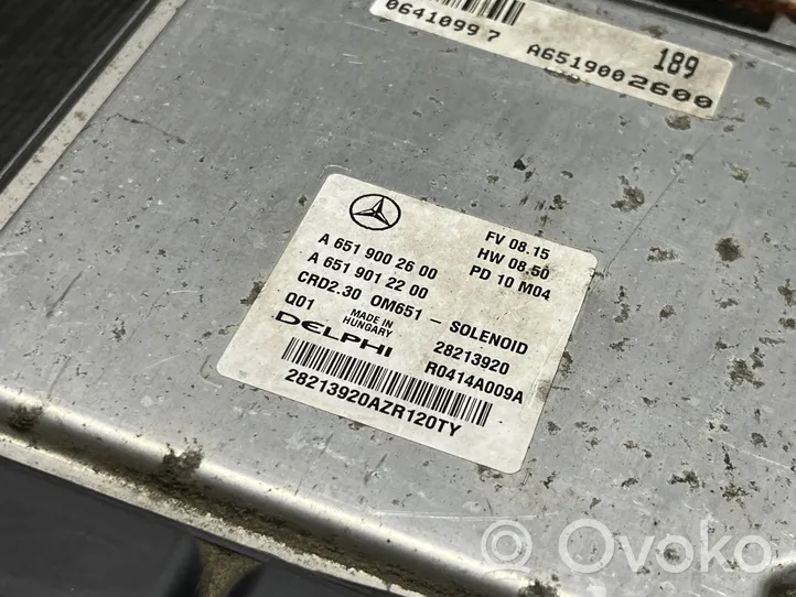 Mercedes-Benz Sprinter W906 Modulo di controllo degli specchietti retrovisori A6519002600