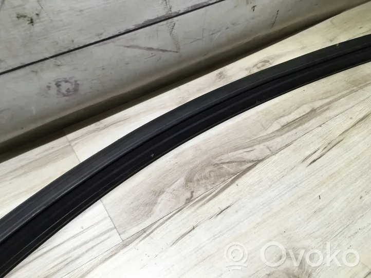 Volvo C30 Rubber seal front coupe door window 31278771