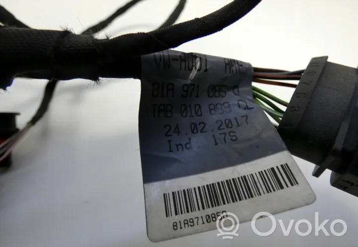 Audi Q2 - Cablaggio del sensore di parcheggio (PDC) 81A971085D