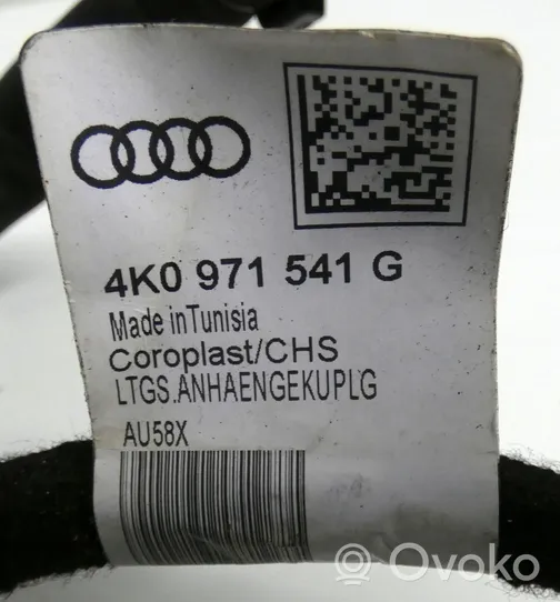 Audi A6 S6 C8 4K Inna wiązka przewodów / kabli 4G0971541C