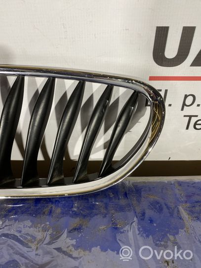 BMW Z4 E85 E86 Maskownica / Grill / Atrapa górna chłodnicy 51137051959