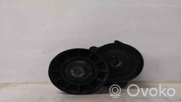 Citroen C5 Napinacz paska alternatora 