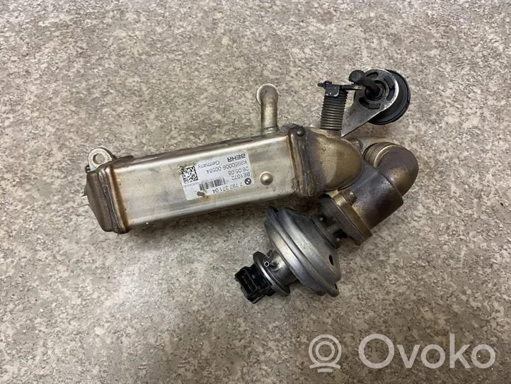 BMW 3 E90 E91 EGR aušintuvas 779737104