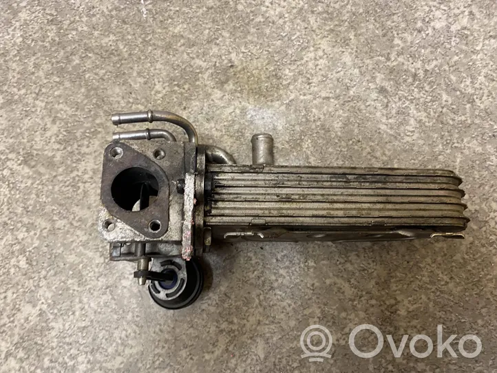 Skoda Octavia Mk2 (1Z) EGR valve cooler 03G131063E