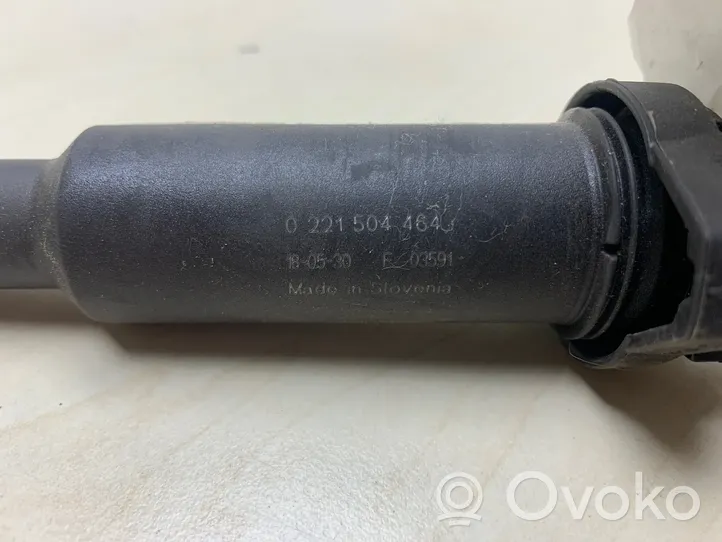 BMW X1 E84 High voltage ignition coil 0221504464