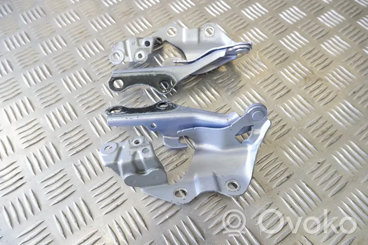 Lexus GS 300 350 430 450H Cerniere del vano motore/cofano 5341030220