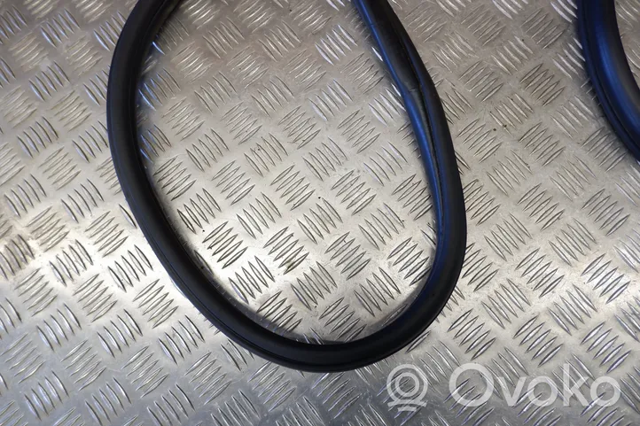 BMW X3 F25 Rear door rubber seal (on body) 7396555