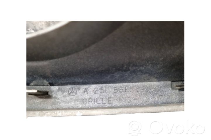 Mercedes-Benz R W251 Maskownica / Grill / Atrapa górna chłodnicy A2518880223