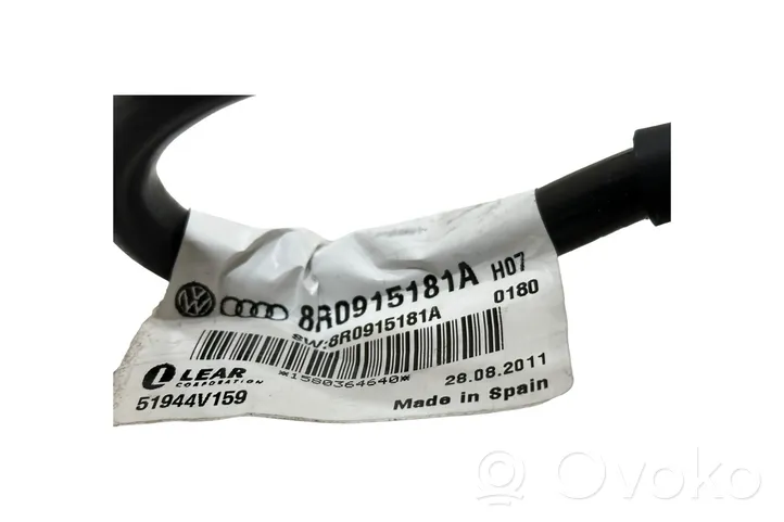 Audi Q5 SQ5 Negative earth cable (battery) 8R0915181A