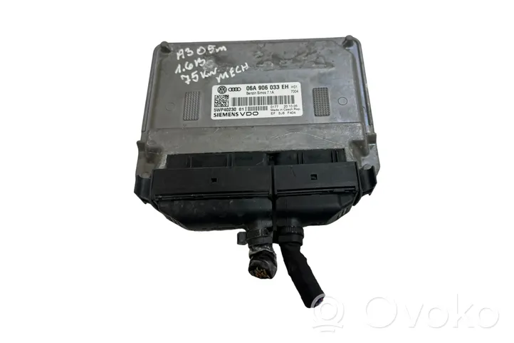 Audi A3 S3 8P Sterownik / Moduł ECU 06A906033EH