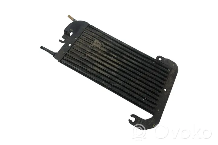 Opel Vivaro Fuel cooler (radiator) 175104049R