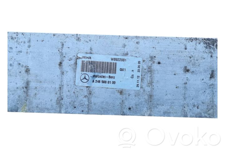 A2049061403 Mercedes-Benz B W246 W242 Electric radiator cooling 