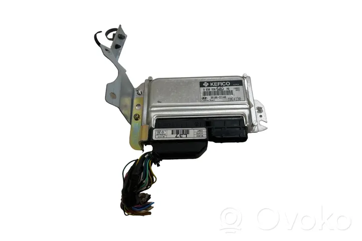 Hyundai Getz Dzinēja vadības bloks 3910622140