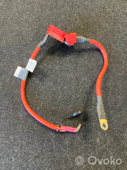 BMW 4 F32 F33 Cable positivo (batería) 6835243