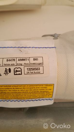 Opel Meriva B Kurtyna airbag 13250503