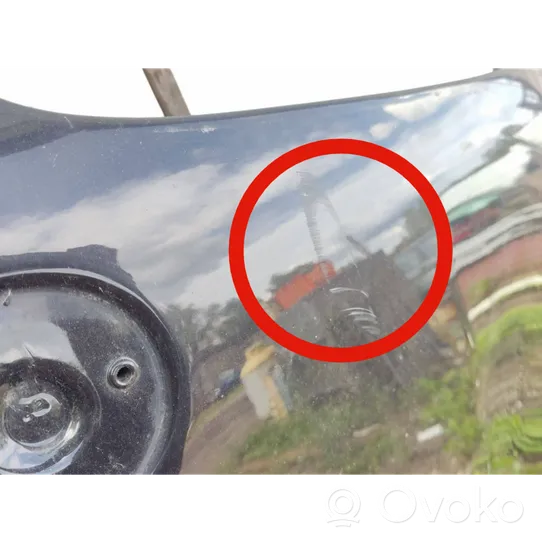 BMW X5 E70 Pokrywa przednia / Maska silnika 6917364