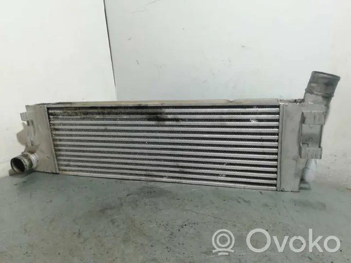 Renault Megane II Intercooler radiator 