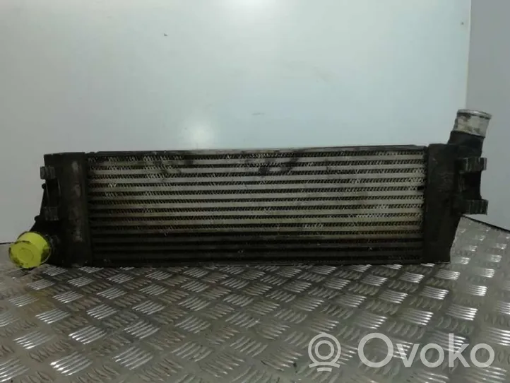 Renault Scenic RX Chłodnica powietrza doładowującego / Intercooler 820011540