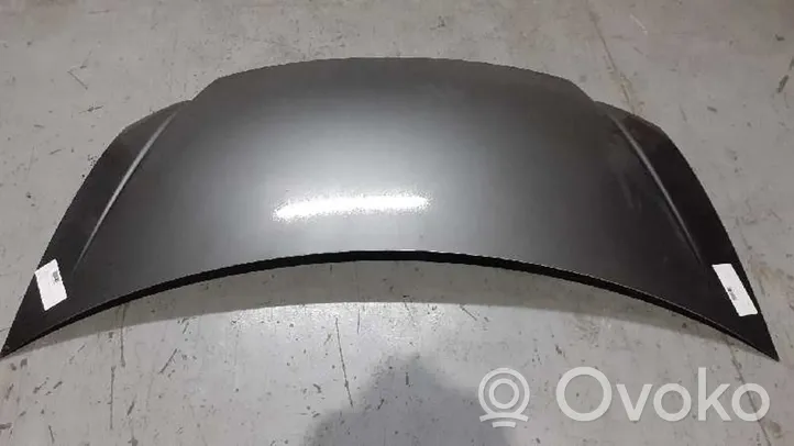 Chrysler Voyager Engine bonnet/hood 