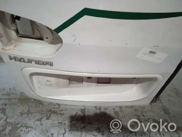 Hyundai H-100 Rear door 