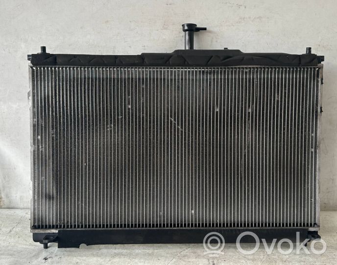 Hyundai H-1, Starex, Satellite Coolant radiator 253104H500