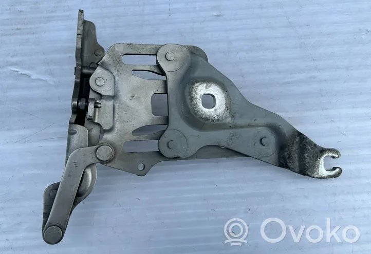 BMW X5 E70 Cerniere del vano motore/cofano 7148348