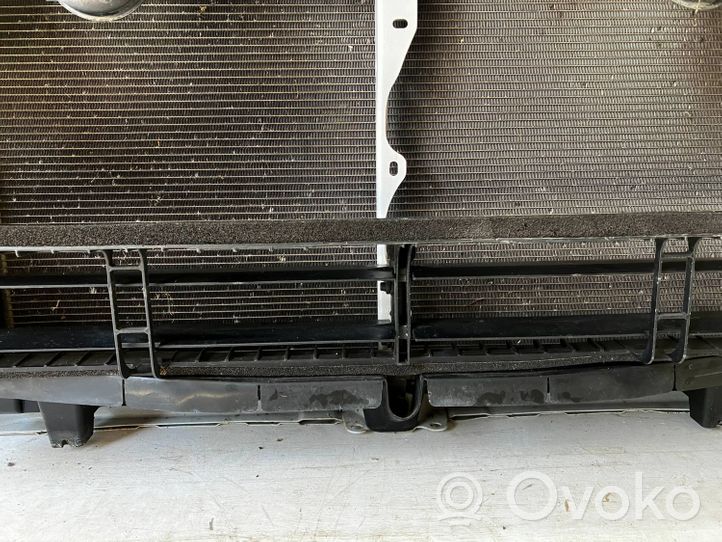 Toyota Prius (XW50) Coolant radiator 