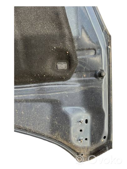 Ford Focus Engine bonnet/hood 