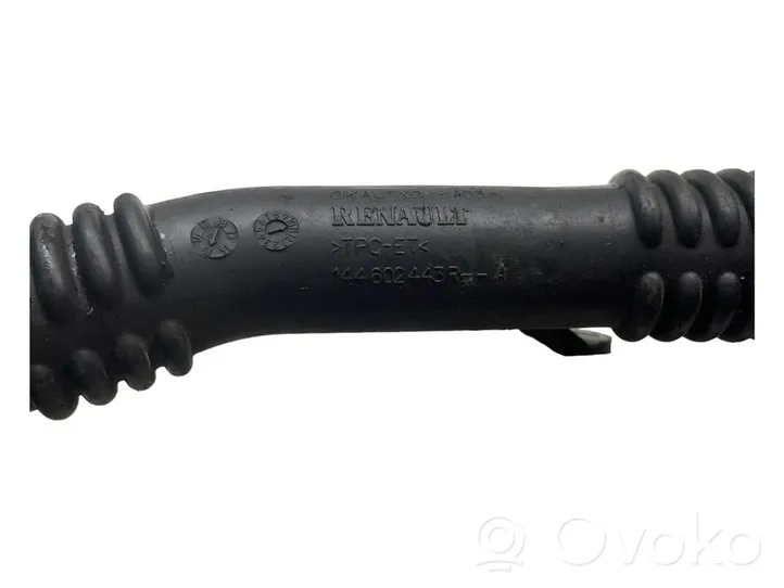 Nissan Qashqai Tube d'admission de tuyau de refroidisseur intermédiaire 144602443R