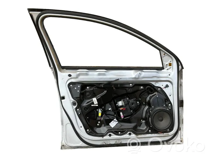 Volkswagen PASSAT B7 Front door 