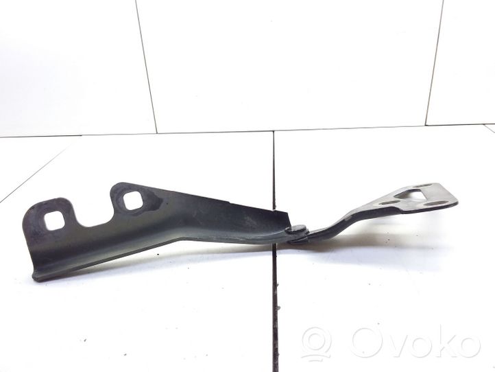 Opel Vectra C Cerniere del vano motore/cofano 24435368