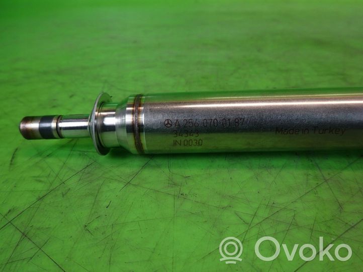 Infiniti QX30 Fuel injector A2560700187