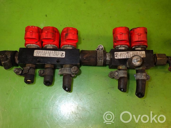 Volkswagen PASSAT B5 LP gas injector 67R-010104