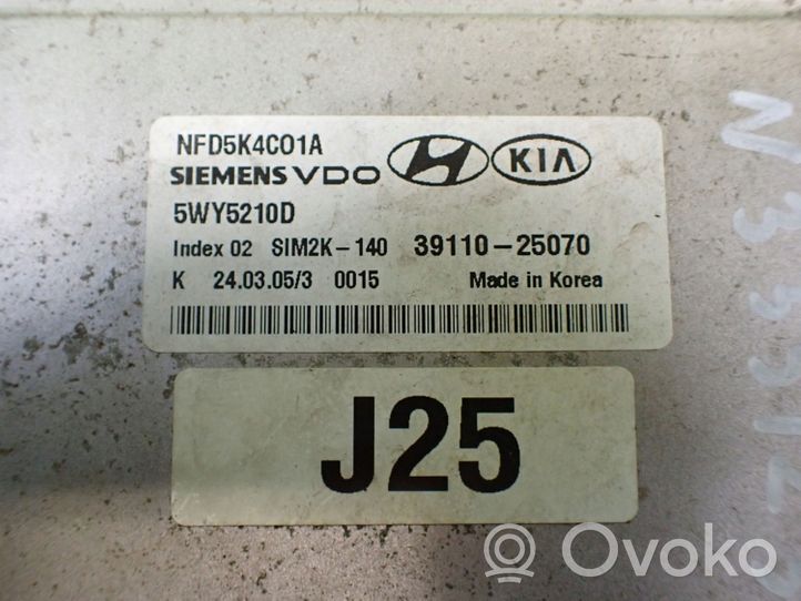 Hyundai Sonata Unité de commande, module ECU de moteur 39110-25070 5WY5210D NFD5