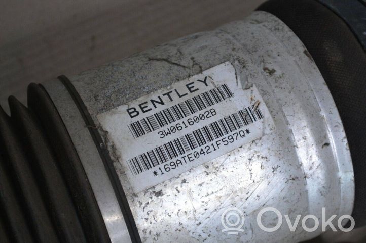 Bentley Continental Amortyzator zawieszenie pneumatycznego osi tylnej 3W0616002B