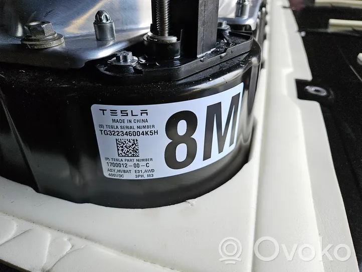 Tesla Model Y Bateria pojazdu hybrydowego / elektrycznego 170001200C