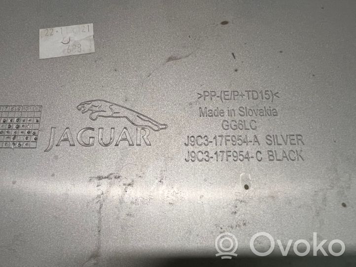 Jaguar E-Pace Rivestimento della parte inferiore del paraurti posteriore J9C317F954A