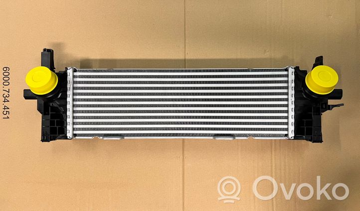 BMW X6 G06 Radiatore intercooler 17518584127