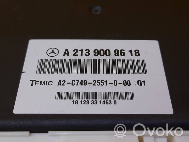 Mercedes-Benz E W213 Ilmajousituksen ohjainlaite/moduuli, takana A2139009618