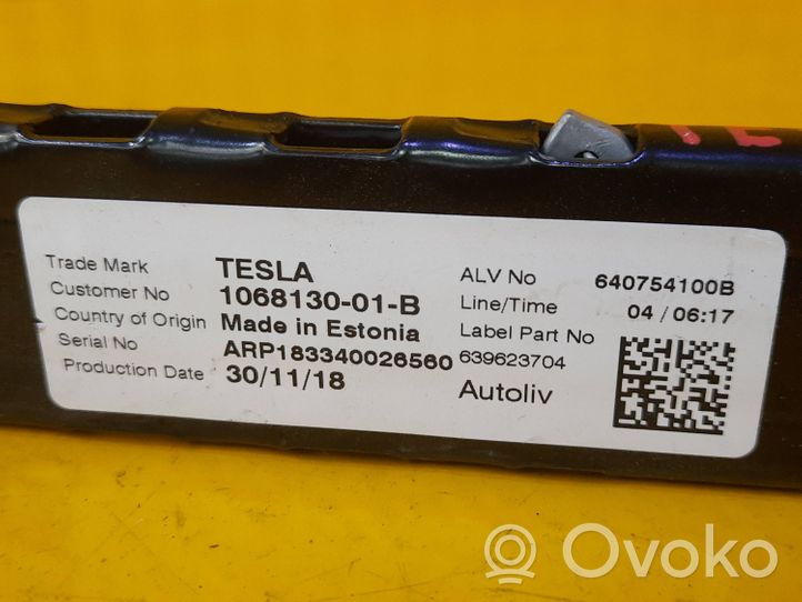 Tesla Model 3 Regulacja wysokości pasów bezpieczeństwa 106813001B