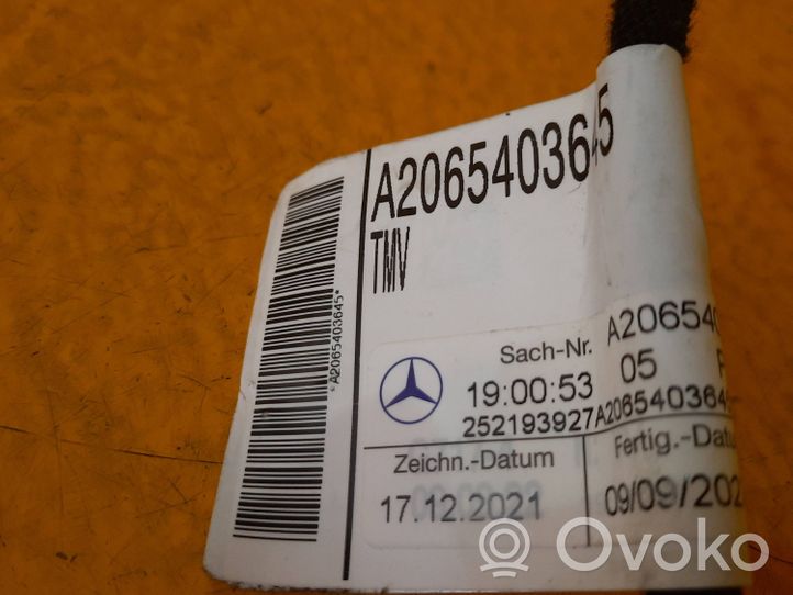 Mercedes-Benz C W206 Wiązka przewodów drzwi przednich A2065403645