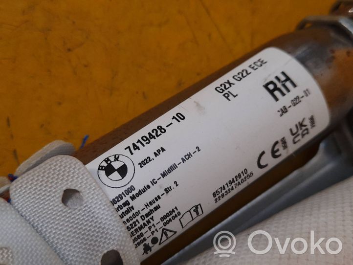 BMW M4 G82 G83 Airbag da tetto 7419428